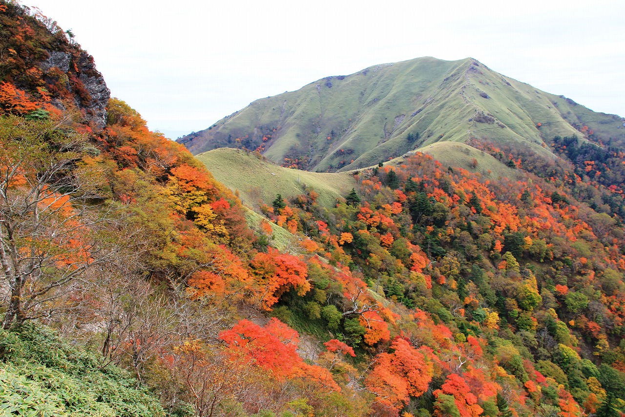 s-剣山秋.jpg